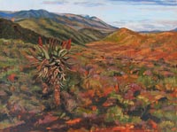 Landscapes