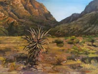 Landscapes