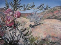 Landscapes